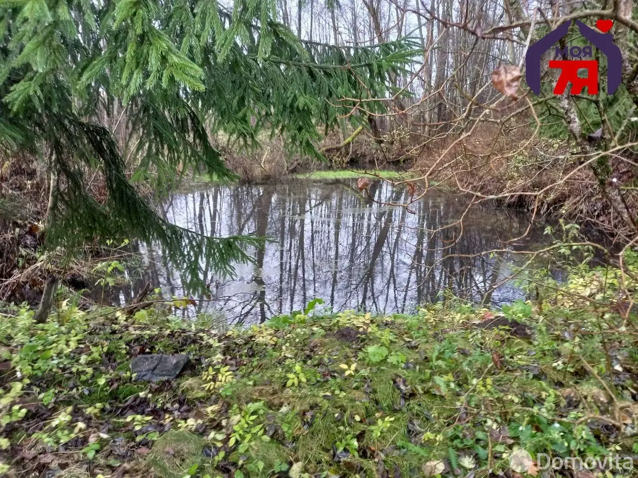 Купить 1-этажную дачу в Трактор-Колоницы Минская область, 21900USD, код 184579 - фото 22