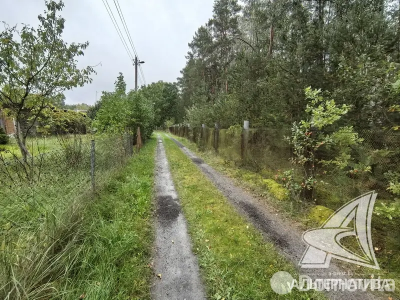 участок, Урожай ОАО Брестхлебопродукт, 