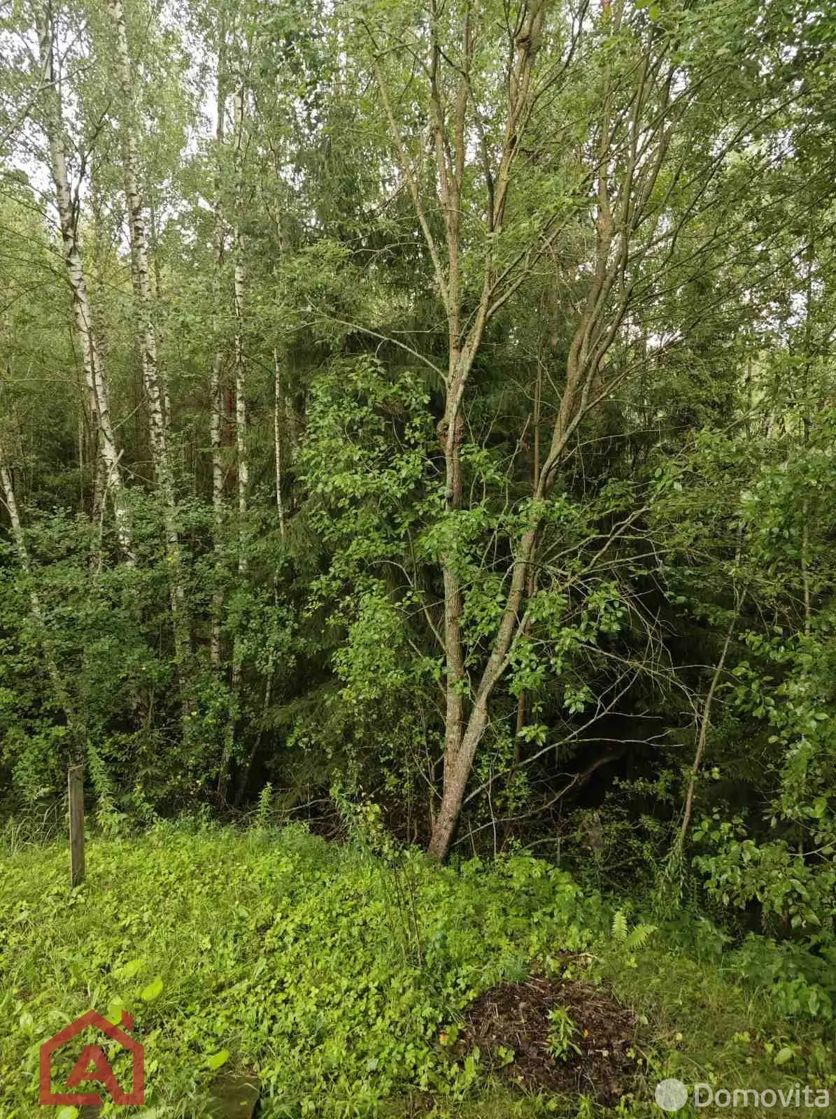 Стоимость продажи участка, Мончаки, ул. Лесная