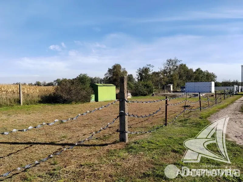 участок, Березка,