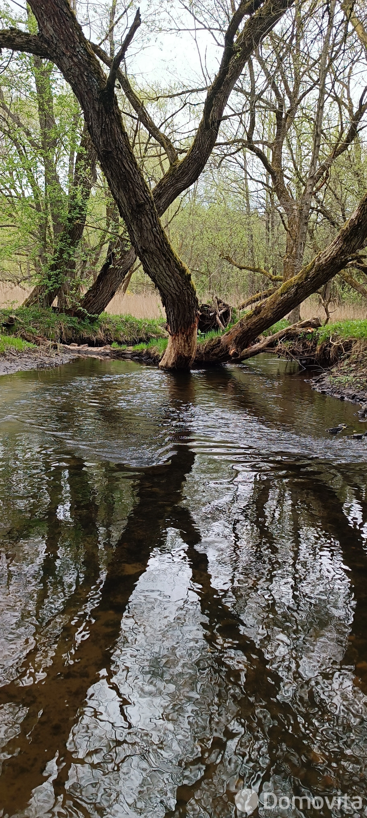 Купить земельный участок, 25 соток, Марковщина, Минская область, 50000USD, код 570364 - фото 12