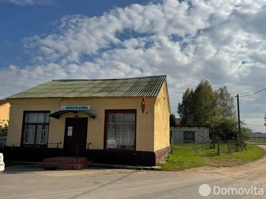 участок, Василевщина,