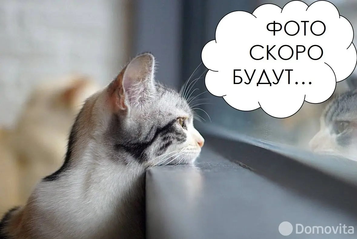 продажа коттеджа, Слуцк, ул. Социалистическая, д. 28