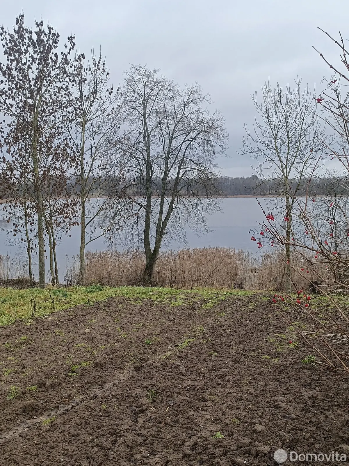 продажа коттеджа, Сенно, ул. Витебская