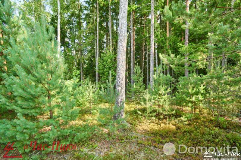 Купить 1-этажную дачу в Дичках Минская область, 175000USD, код 175471 - фото 28