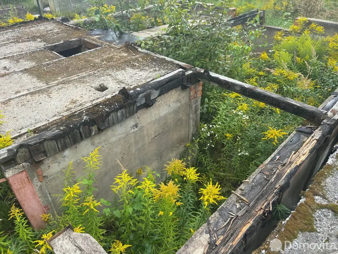 дача, Заря-81,