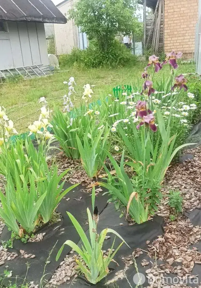 Продажа 2-этажной дачи в Овощник-плюс Минская область, 27500USD, код 185354 - фото 19