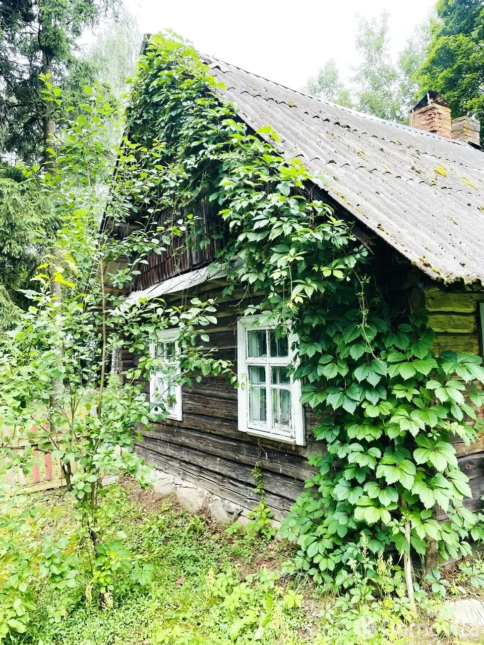 Купить 1-этажную дачу в Гедевичах Минская область, 5500USD, код 186565 - фото 20