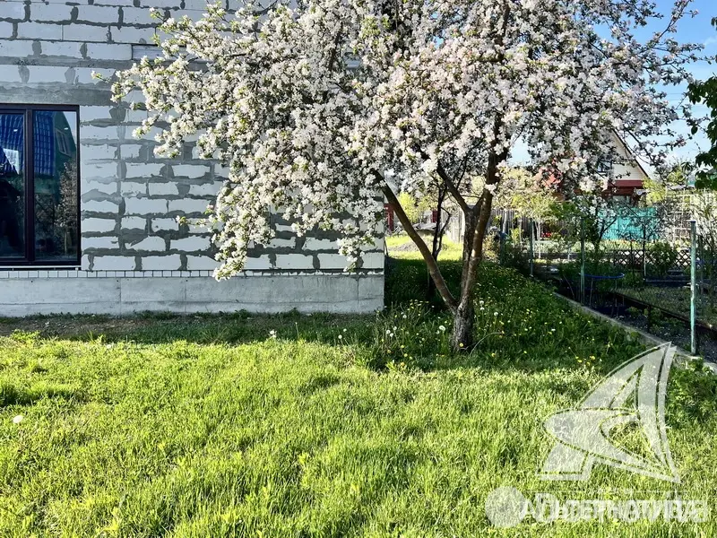 Купить 1-этажную дачу в Астра Гродненская область, 55000USD, код 178070 - фото 35