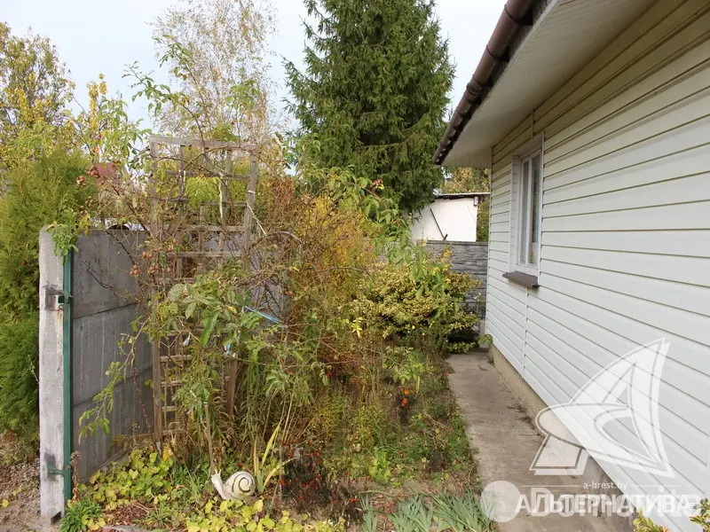 Продажа 1-этажной дачи в Молодая гвардия 91 Брестская область, 21000USD, код 184415 - фото 13