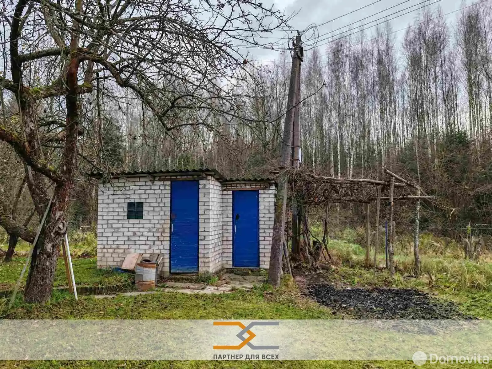 дача, Ромашка Соломореченская,