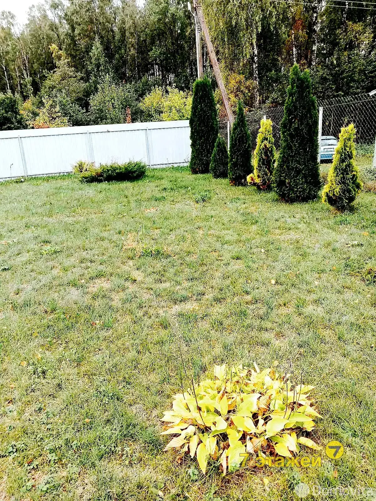 Купить 1-этажную дачу в ПЕЛЕНГ Минская область, 19500USD, код 184047 - фото 17