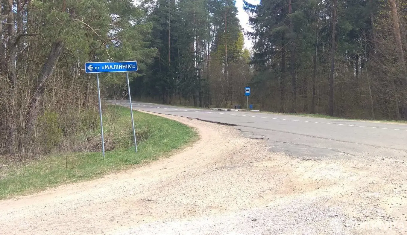 Купить 1-этажную дачу в Малинники Минская область, 7000USD, код 182889 - фото 25