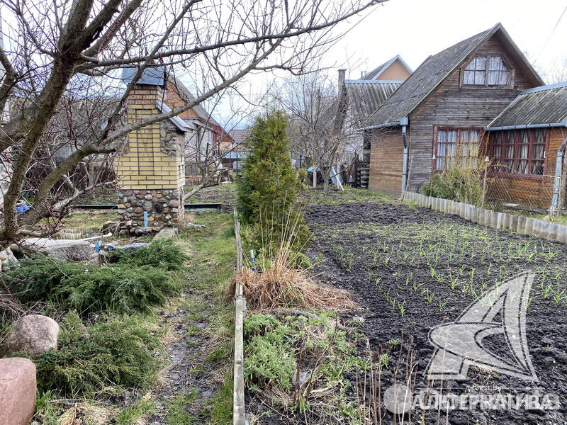 Продажа 1-этажной дачи в Строитель Брестская область, 16000USD, код 173114 - фото 14