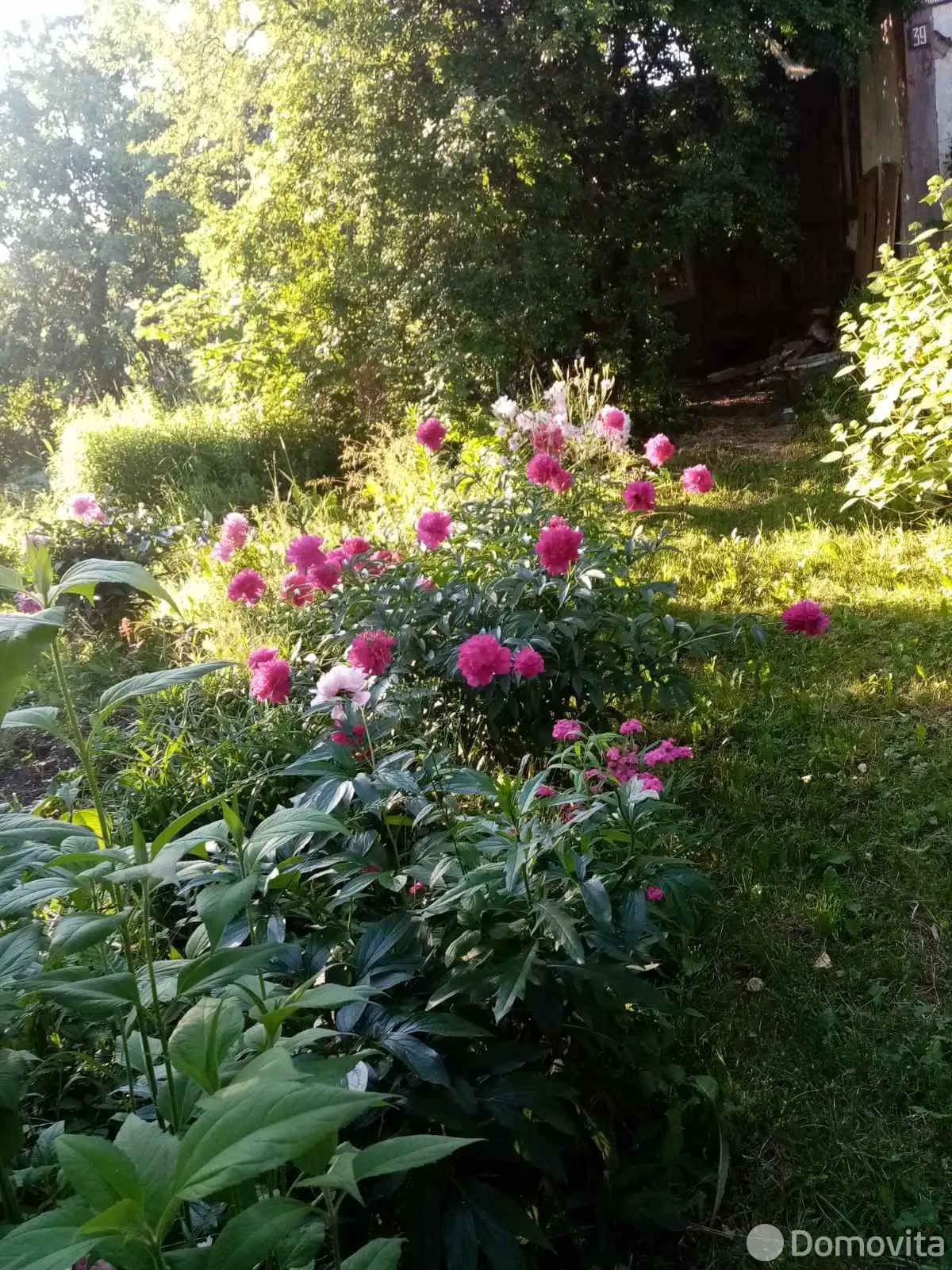 Купить земельный участок, 15 соток, Орша, Витебская область, 9300USD, код 571053 - фото 14