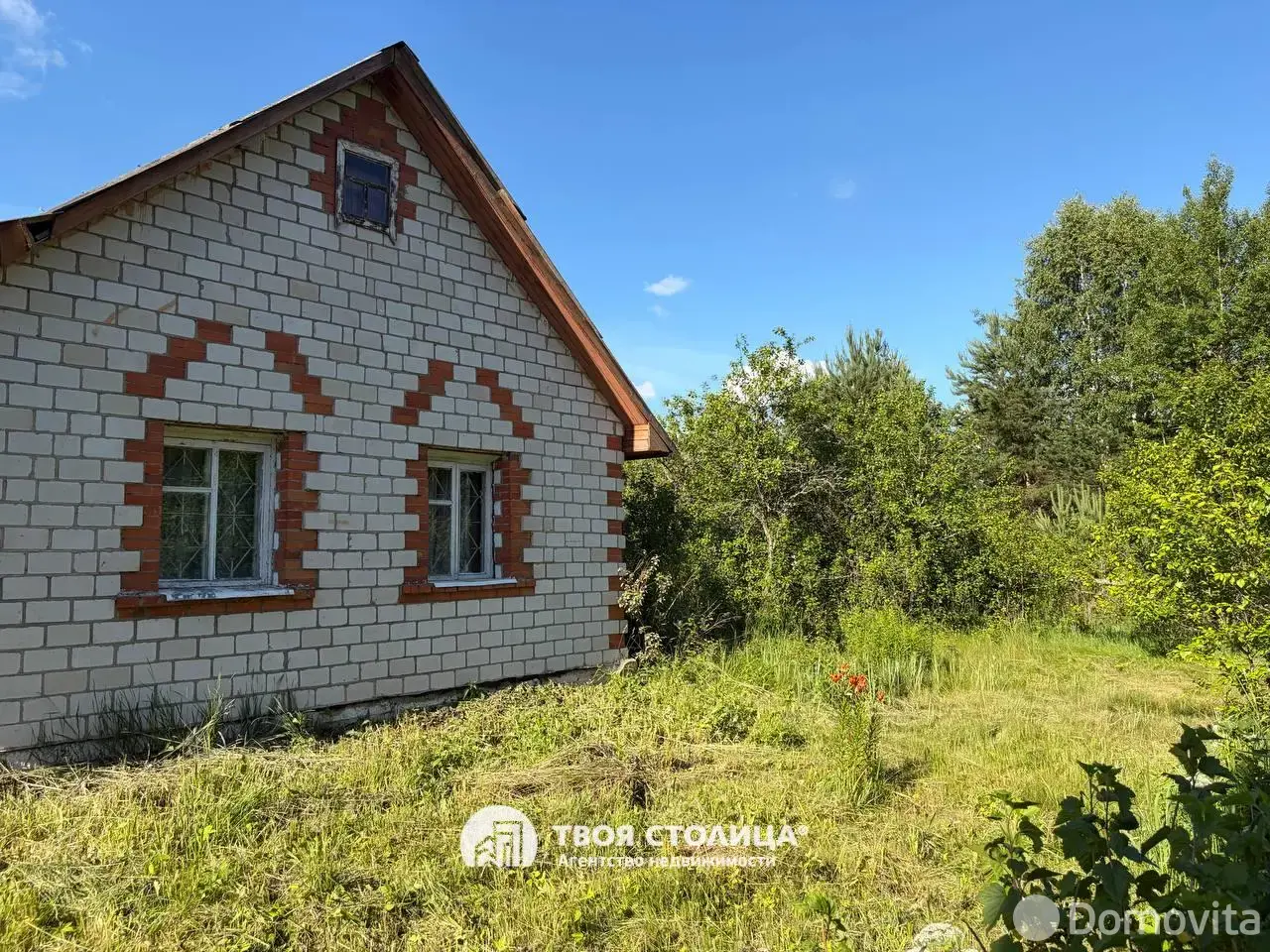 Цена продажи дома, Шабуни, ул. Центральная
