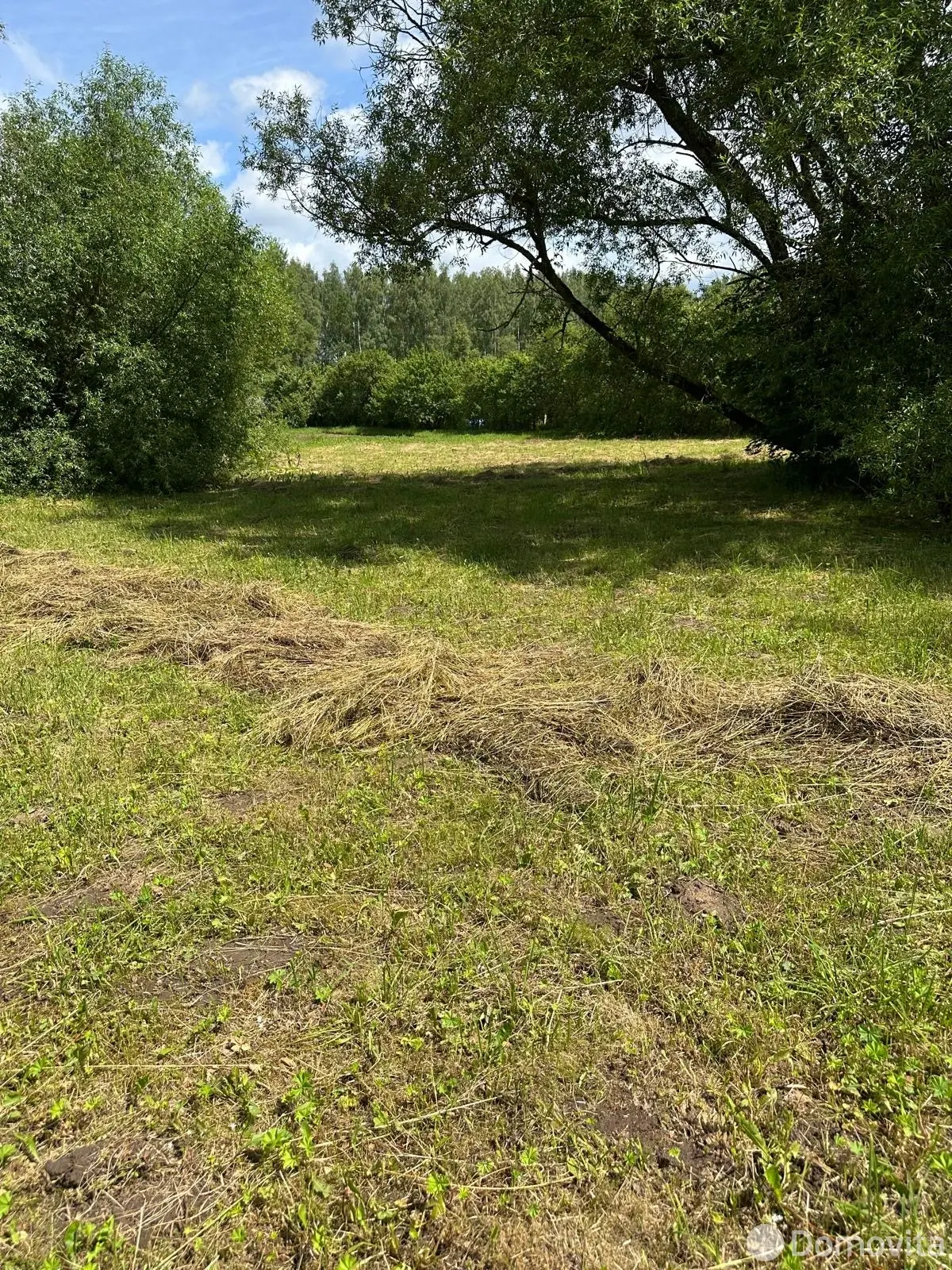 участок, Юрковичи, ул. Лесническая 