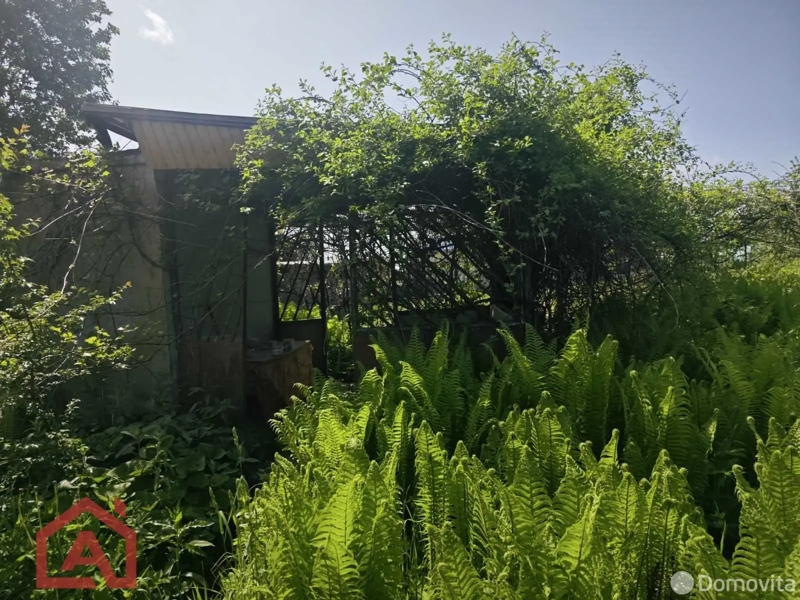 участок, Поляна, 