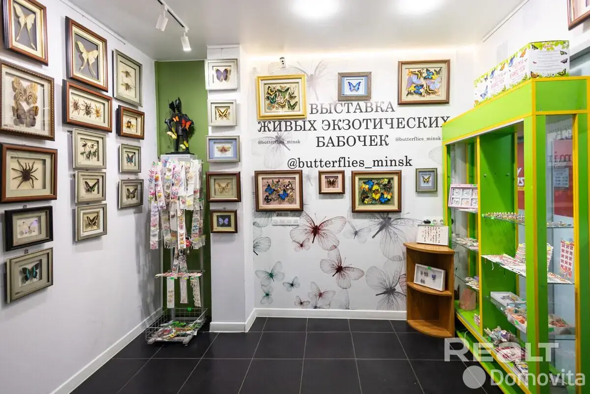 Купить помещение под сферу услуг в Минске, ул. Кирилла Туровского, д. 16 - фото 13