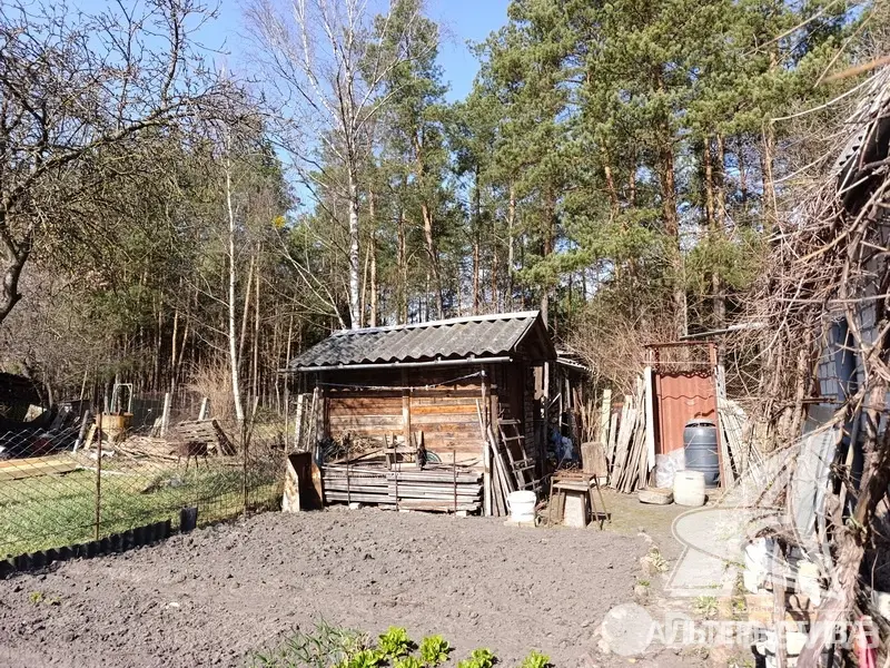 Купить 2-этажную дачу в Полянка-87 Брестская область, 20000USD, код 184818 - фото 15
