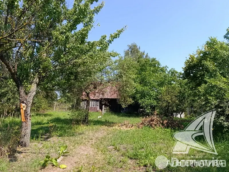 участок, Урожай ОАО Брестхлебопродукт, 