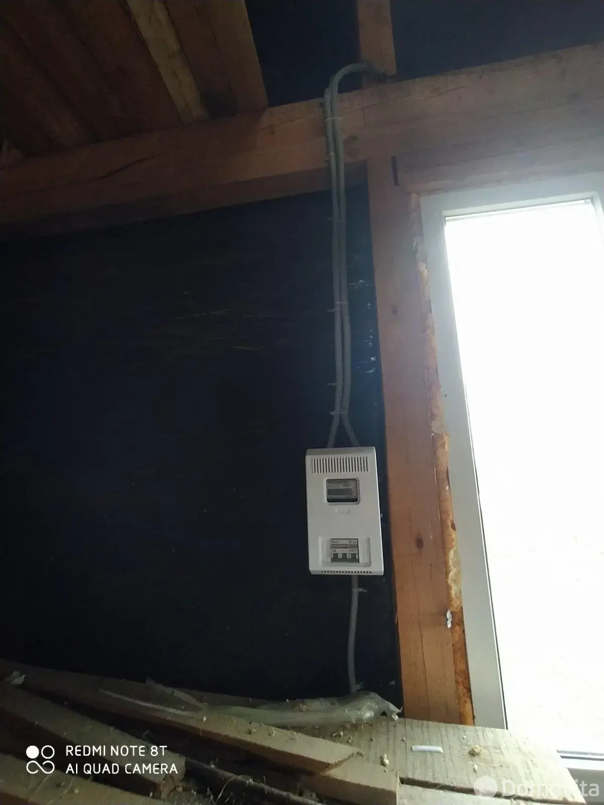 участок, Камыш, 