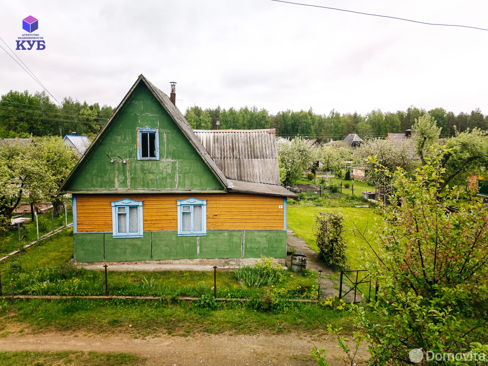 дача, Сосна, 
