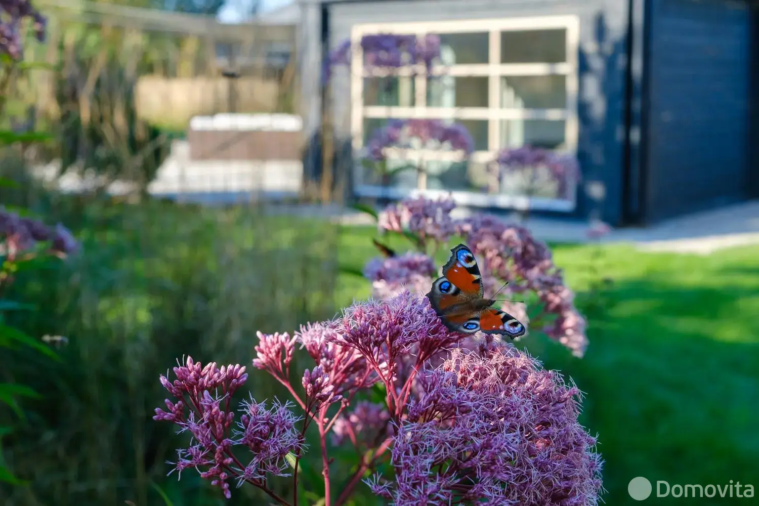 дом, Чики, - лучшее предложение