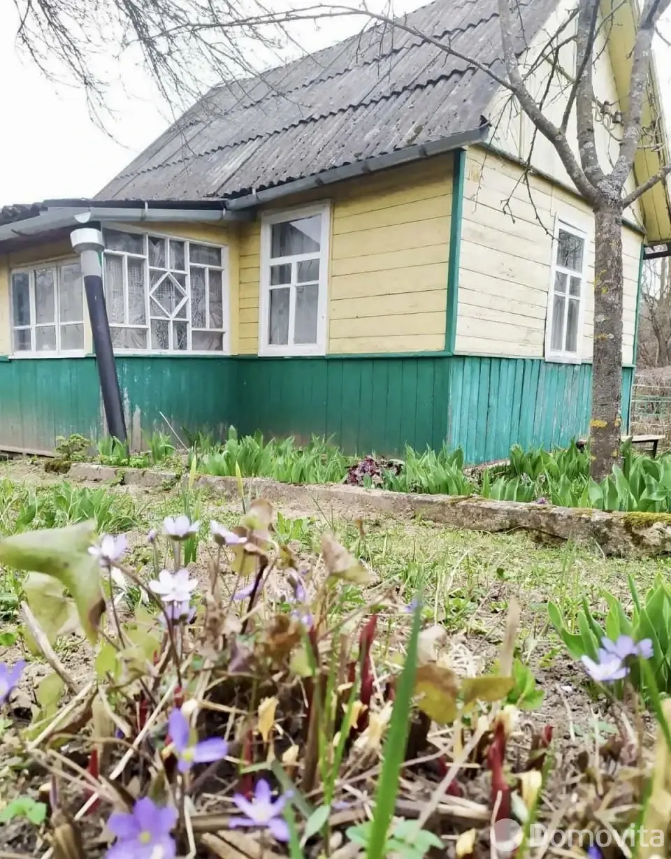 дача, Витебск, пер. 1-й Активный