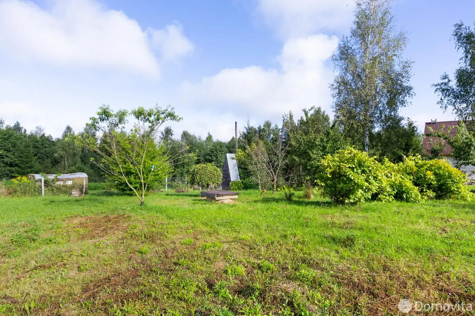 дача, АЛЕСЯ,