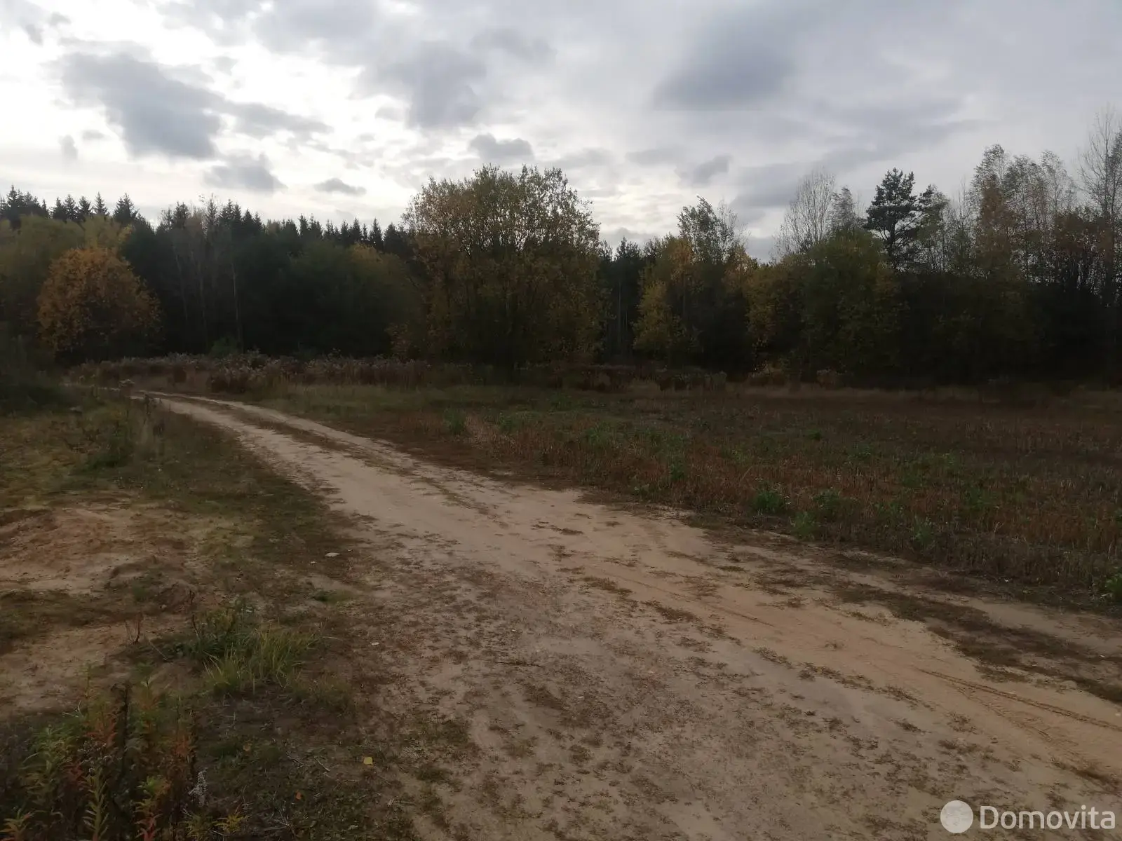 Купить земельный участок, 15 соток, Яворовщина, Минская область, 13000USD, код 569908 - фото 11