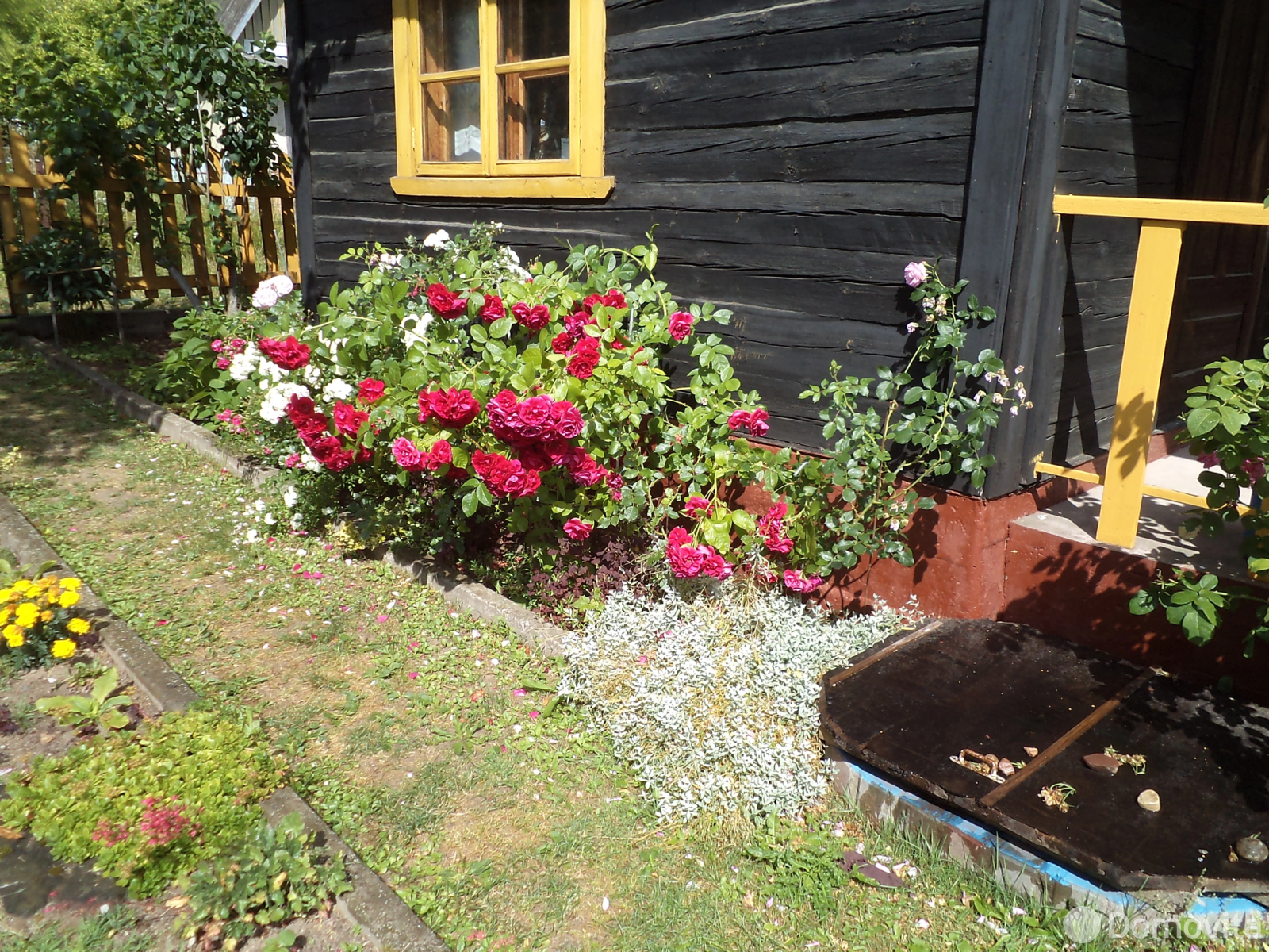 дача, Новики,