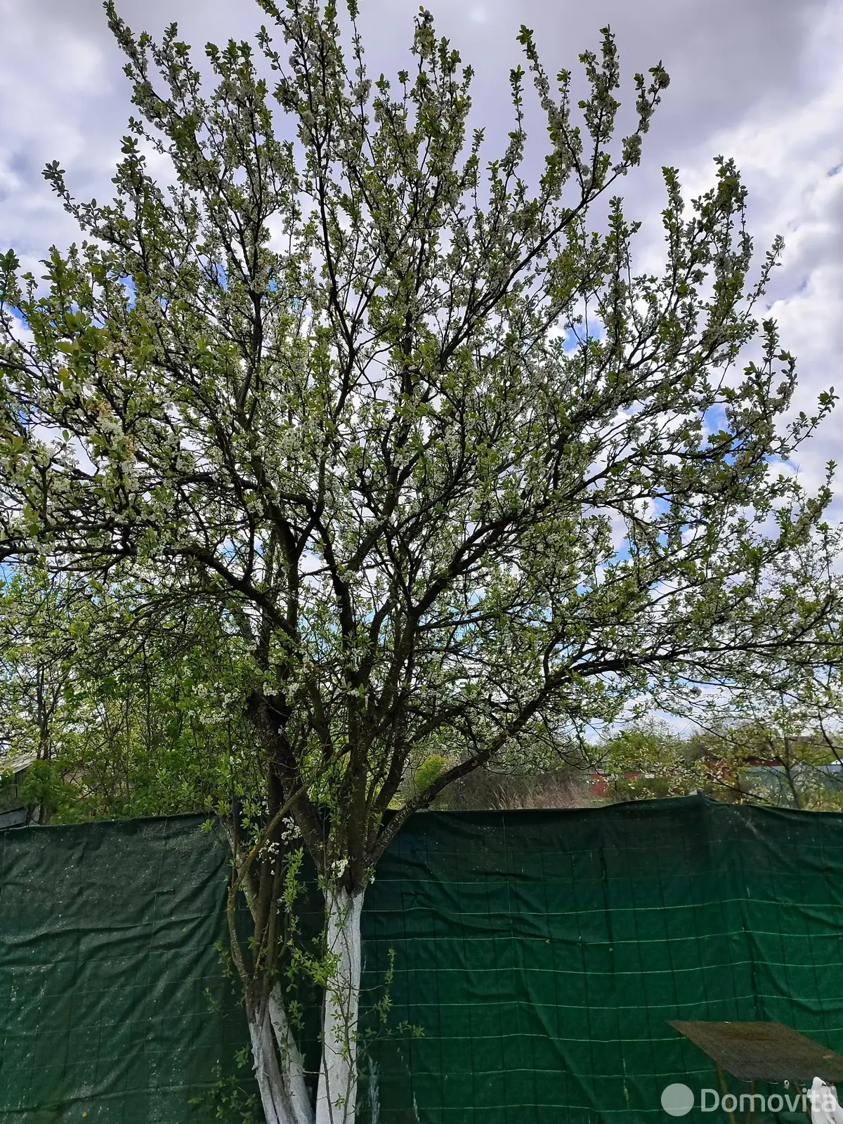 Купить 2-этажную дачу в Здоровье-95 Минская область, 44000USD, код 182593 - фото 28