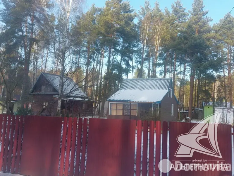 Купить 2-этажную дачу в Лира-5 Брестская область, 19800USD, код 184761 - фото 13