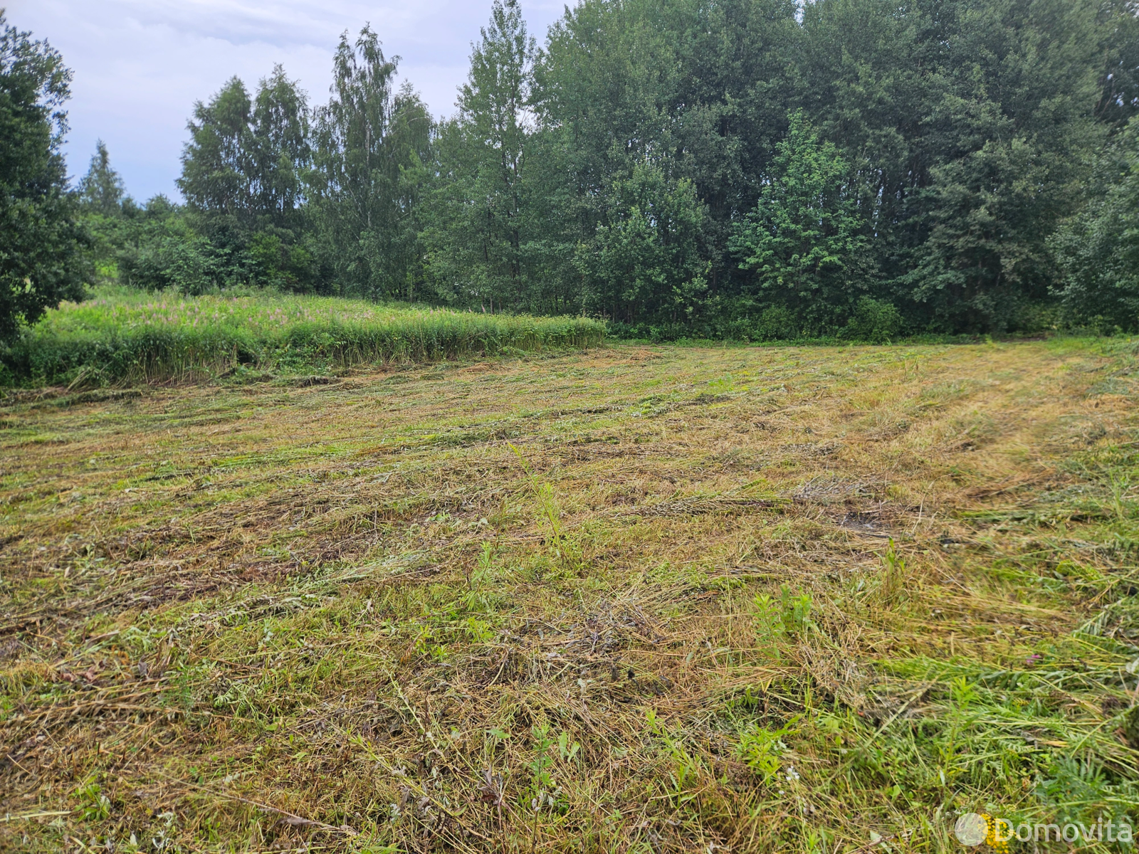 участок, Острошицы, , стоимость продажи 78 184 р.