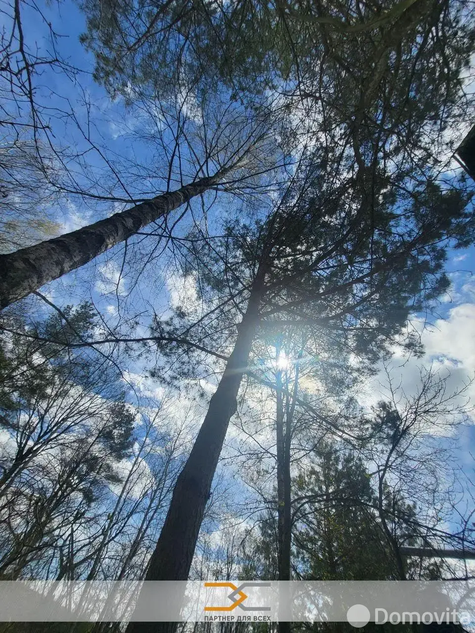 Купить 1-этажную дачу в Факел-Третий век Минская область, 19200USD, код 185653 - фото 31