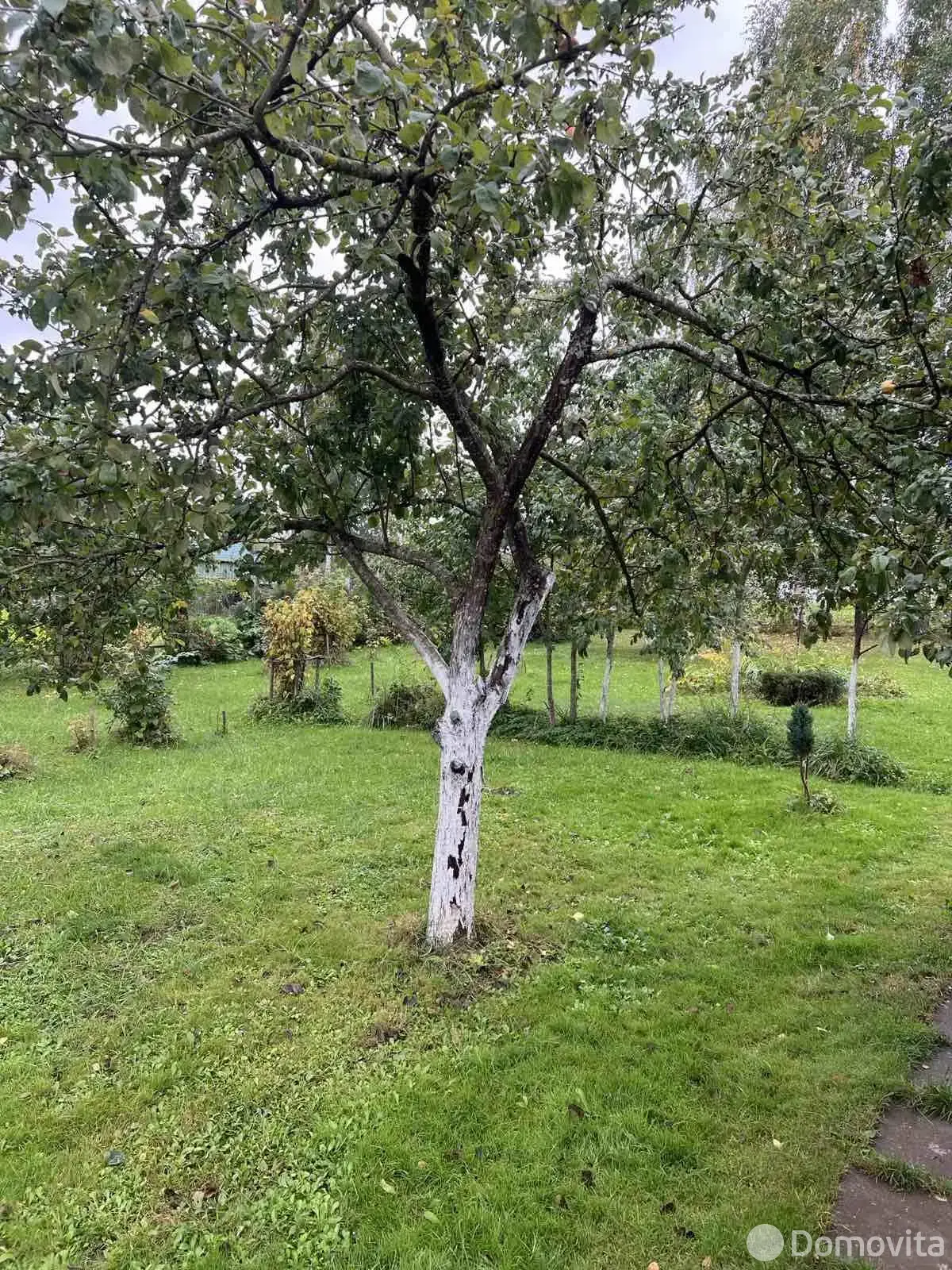 Купить 2-этажную дачу в Крыница-91 Минская область, 21000USD, код 184783 - фото 19