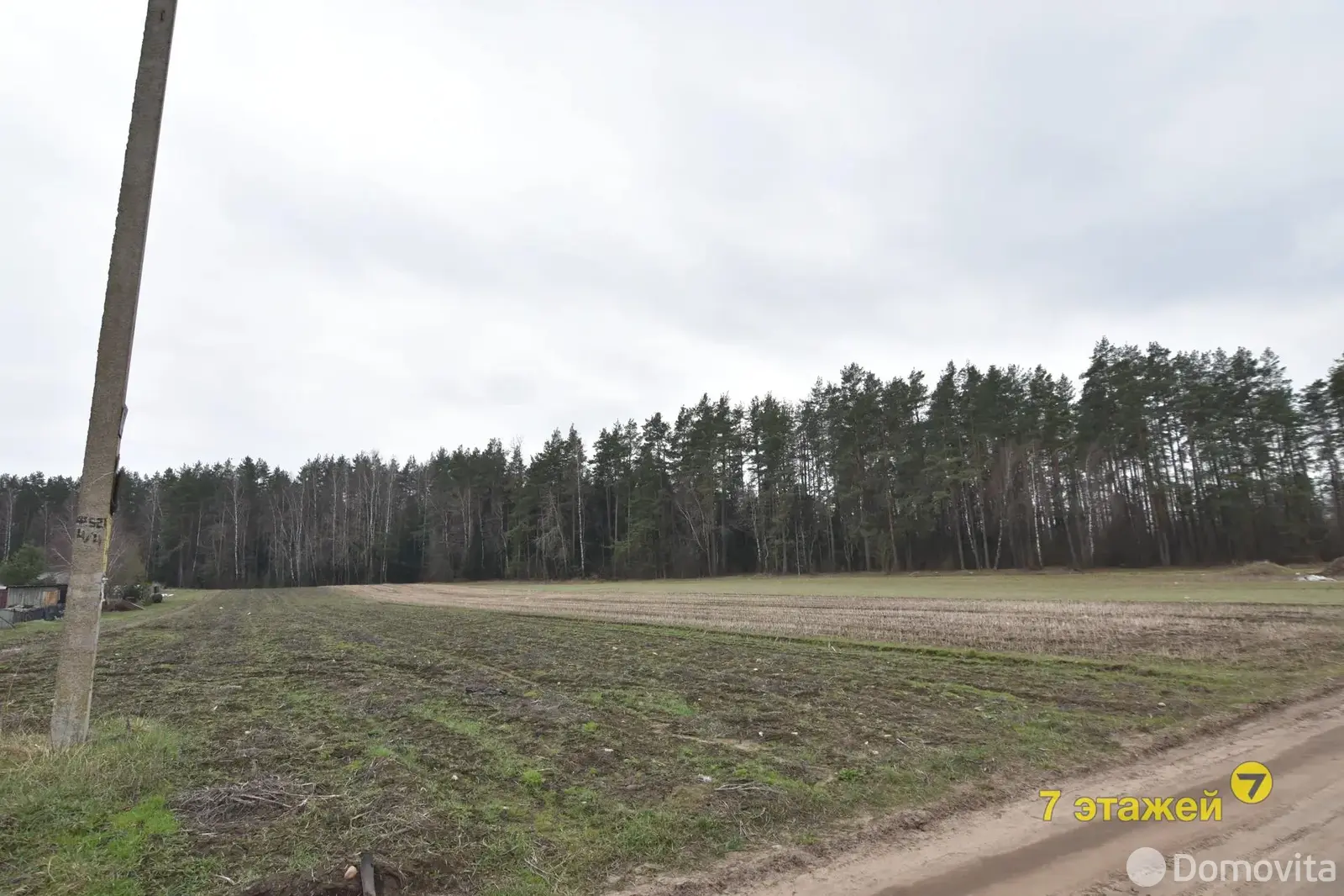 участок, Пекалин, ул. Колхозная 