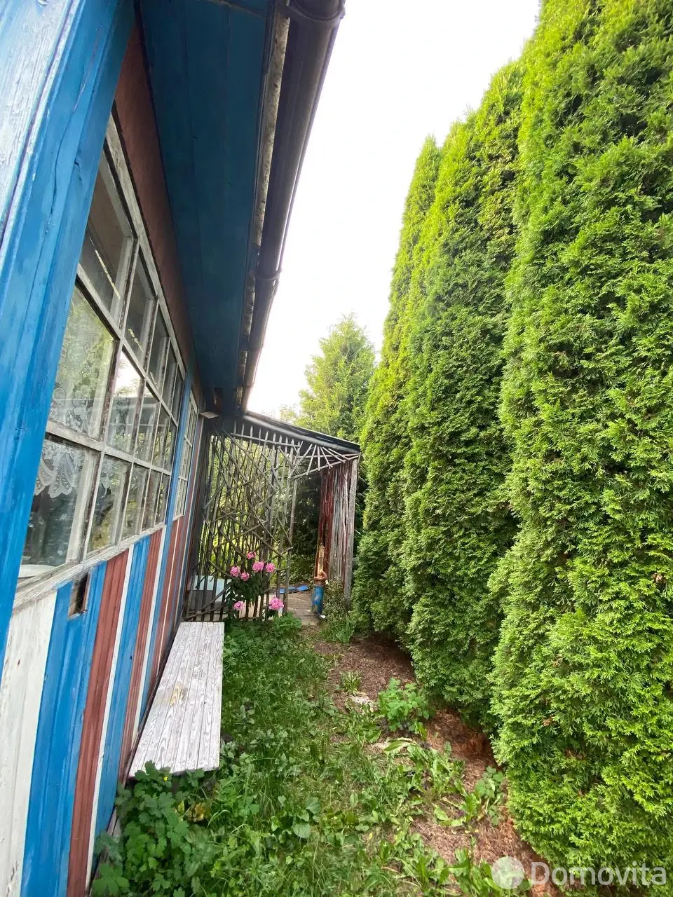 дача, Дачное, 