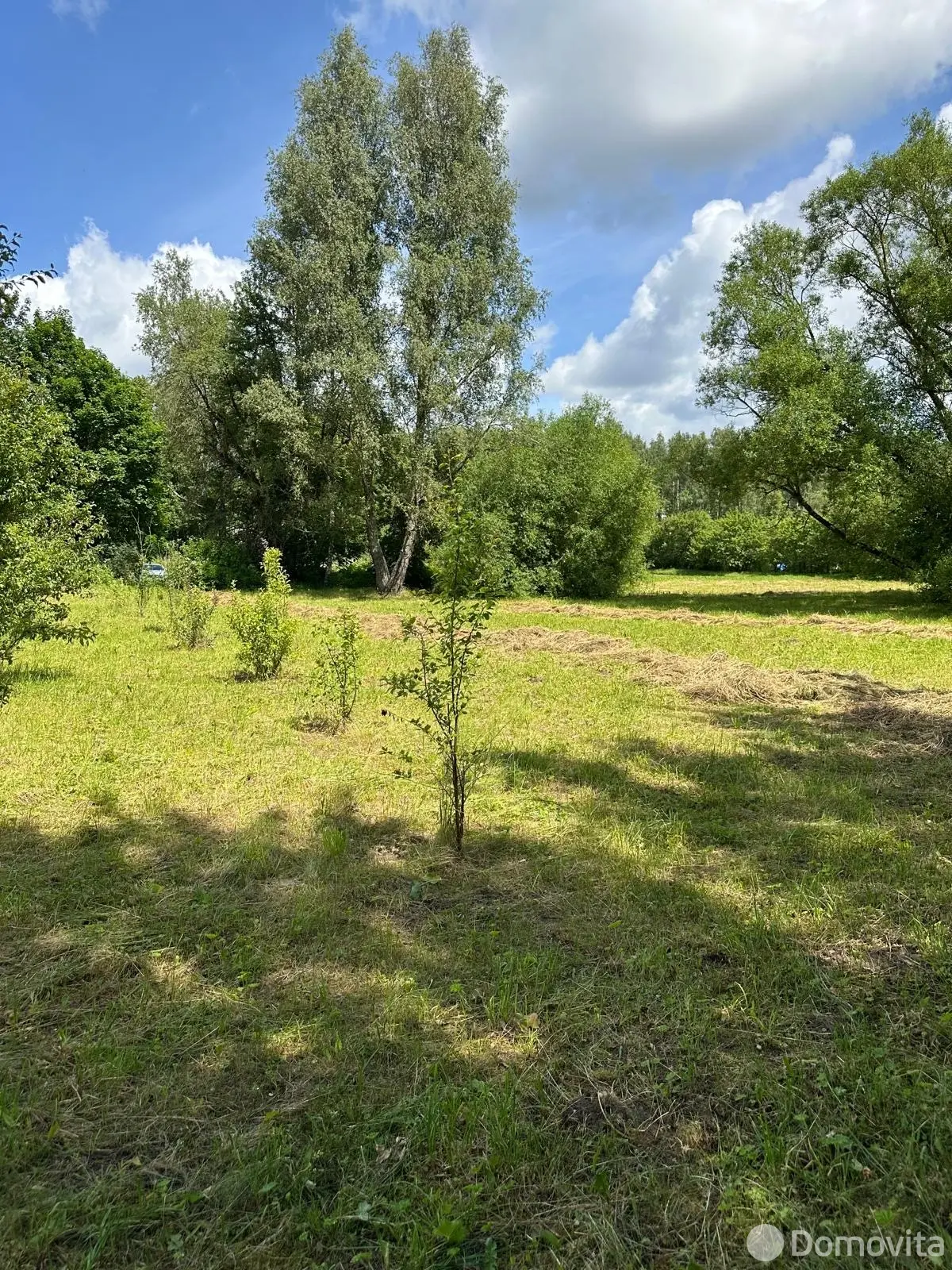 участок, Юрковичи, ул. Лесническая 