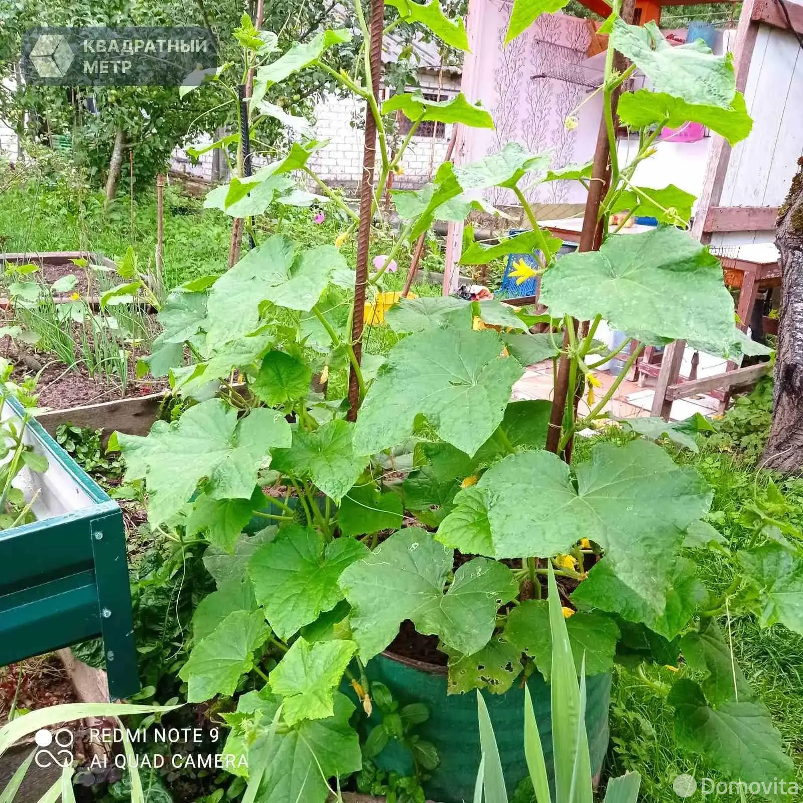 Купить 2-этажную дачу в 40 лет Октября Минская область, 39000USD, код 183719 - фото 24