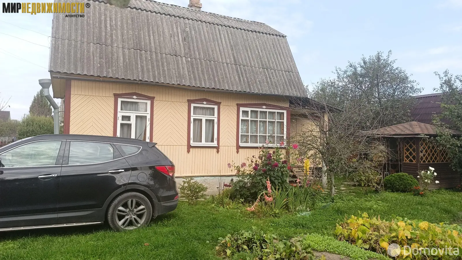 дача, Елочка, 