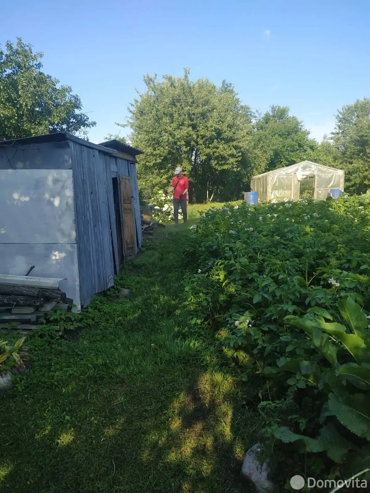 Продажа 2-этажной дачи в Ивушка Полоцкого района Витебская область, 5500USD, код 181759 - фото 13