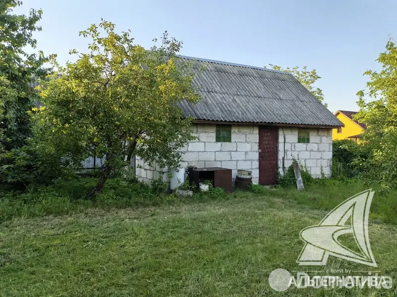 дом, Тельмы-1,