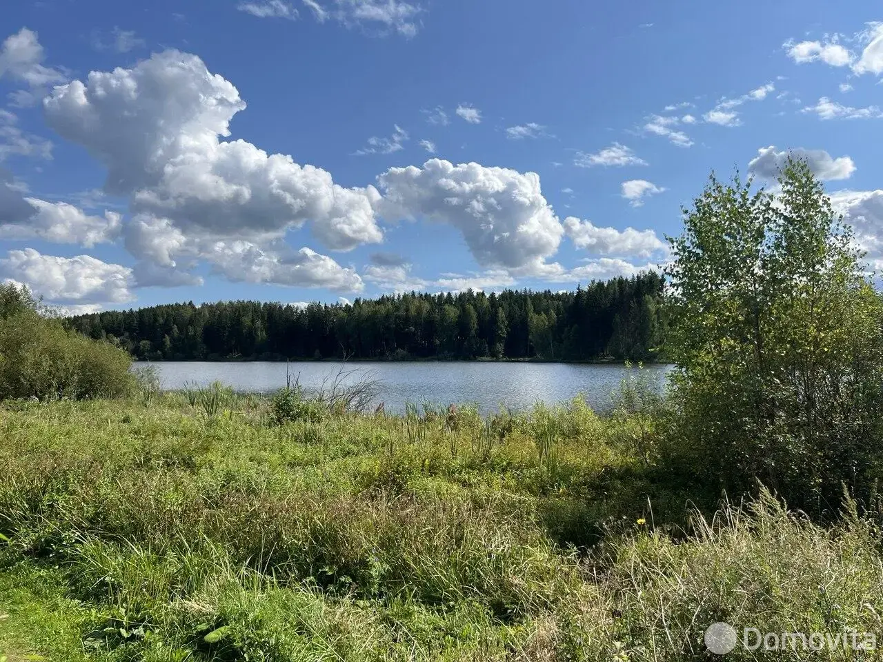 Купить земельный участок, 15.84 соток, Дички, Минская область, 59000USD, код 570942 - фото 19