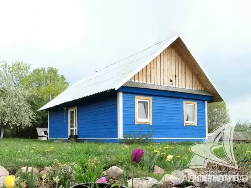 дом, Пашуки,