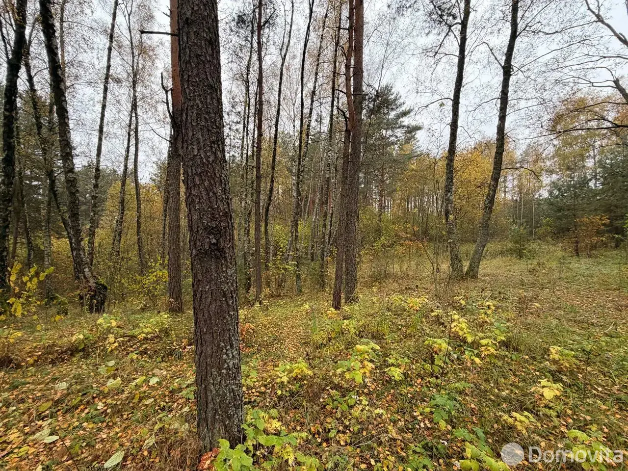 коттедж, Уша, 