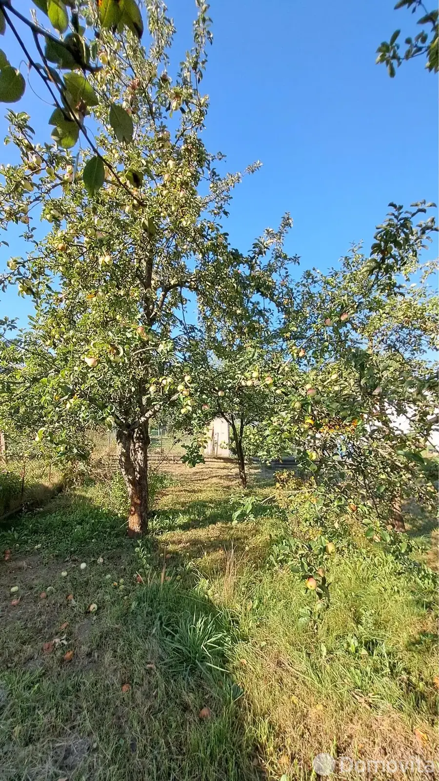 Купить 1-этажную дачу в Криничка Гродненская область, 6700USD, код 179995 - фото 19