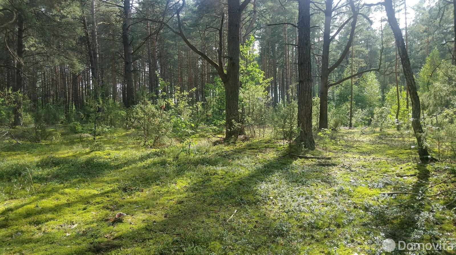 участок, Холодинка, д. 39