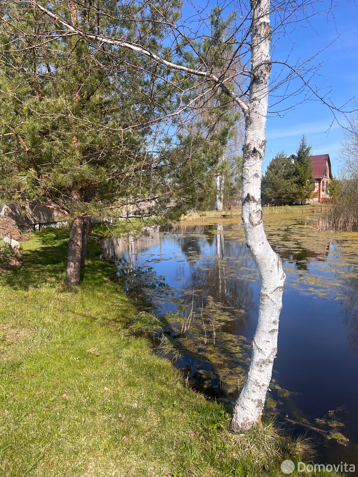 Купить 1-этажную дачу в Зароновка-1 Витебская область, 5700USD, код 185617 - фото 30